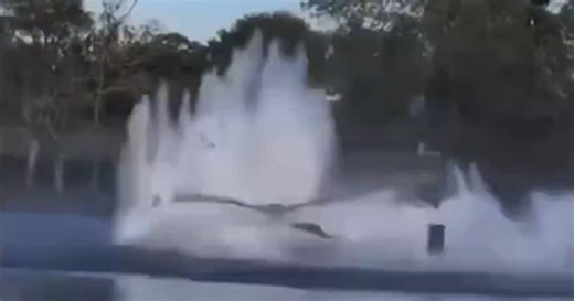 Un hélicoptère des pompiers se crashe dans un étang en France: “Oh la vache!”