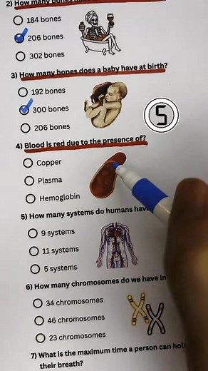 1.9M views · 20K reactions | Human Body Quiz #QuizTime #DailyQuiz #FunQuiz #BrainChallenge #MindTest #QuizFun #GeneralKnowledge #QuizMaster #TriviaTime #SmartQuiz #LetsPlayQuiz #CanYouAnswer #TestYourBrain #GuessTheAnswer #IQChallenge #ThinkFast #KnowledgeIsPower #ChallengeYourMind #AnswerIfYouKnow #LearnWithFun #ViralReels #ReelChallenge #FacebookReels #TrendingNow #ViralVideo #ExplorePage #MustWatch #EntertainmentReels #ReelFun #foryouシ | Global Quiz | Facebook