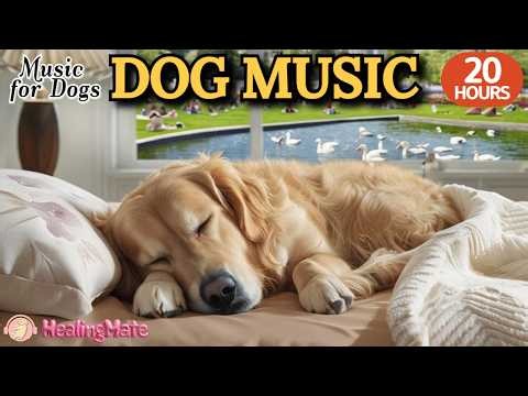 강아지가 좋아하는 음악🐶💖강아지 수면 음악 20시간🐶🎵강아지 분리불안 완화 유도 음악🎵강아지 스트레스 해소용 깊은 잠 숙면 음악🎵외출할때 출근할때 꼭 틀어주세요 by 힐링메이트