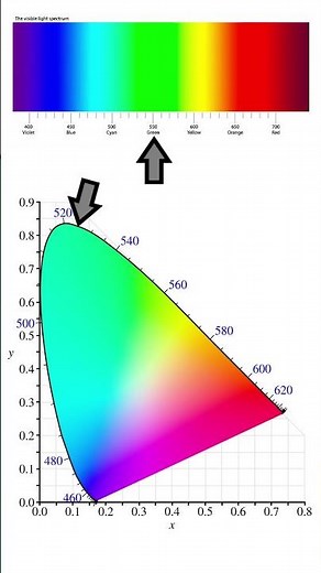 Magenta is my favorite color