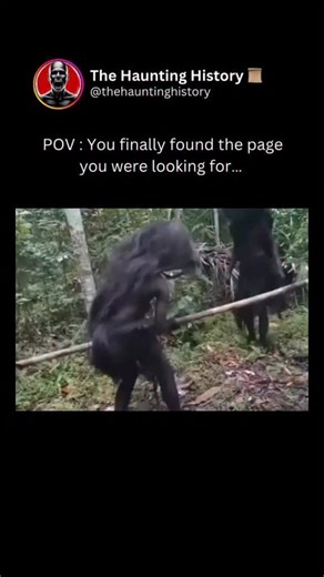 The Haunting History on Instagram: "The Suku Mante are a mysterious tribe said to live deep in the forests of Aceh, Indonesia. Rarely seen and highly secretive, they’re described as small, living simply, and avoiding all contact with outsiders. Over the years, locals have shared stories that blur the line between myth and reality—some even claiming strange abilities. Recent sightings have brought the legend back into focus, reminding us that parts of the world are still truly unknown. 🌿 Follow 