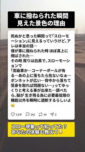 撥ねられた瞬間に見えた景色、脳が仕組んだ生存本能の正体とは #交通事故 #スローモーション