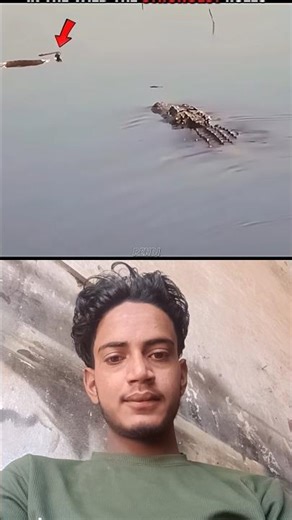 Crocodile ambushes python in water#wildlife#animals#youtube