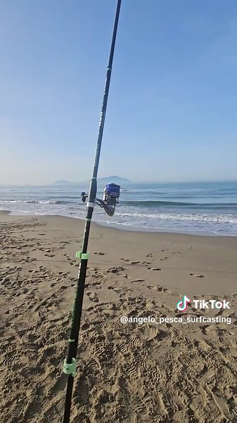 Surfcasting Techniques for Beach Fishing Lovers