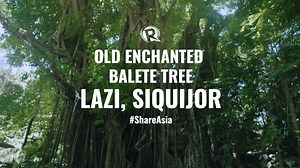 WATCH: Visit Siquijor’s Old Enchanted Balete Tree