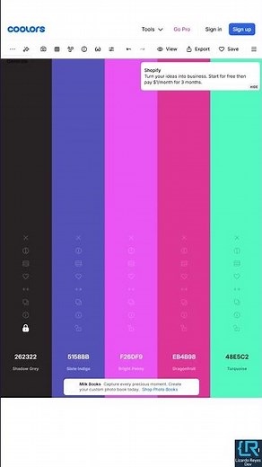 🎨 Genera paletas de colores perfectas en segundos con Coolors