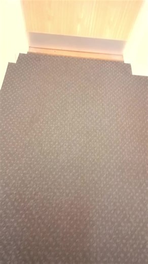 Returning Home After a Month of Fursuiting