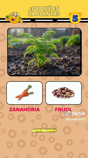¿De qué planta es cada alimento? Descúbrelo aquí