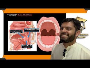 🦷The Soft Palate | Uvula, Muscles, and Clinical Importance | Smart Dental Academy