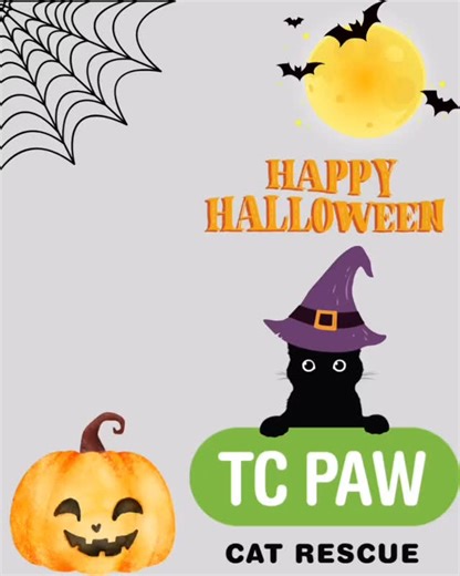 #tcpaw #halloween #catrescue | TC Paw Cat Rescue