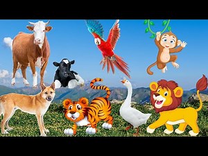 Lives of animals: dog, cat, tiger, lion, elephant, duck, monkey, cow - animal sounds