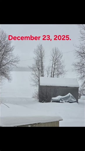 robertjaccub (@robj090)’s videos with original sound - 🇨🇦•⚡️DaRkAnGeL88⚡️•🇨🇦