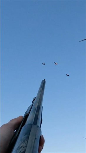 GoPro Fell Off During Goose Hunt #goose #hunting #goosehunting