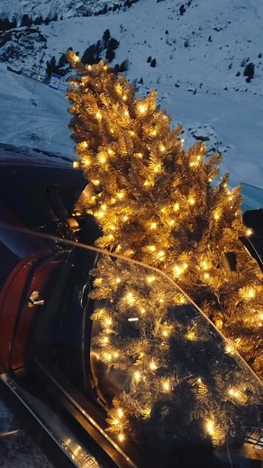 Convertible season is a mindset. 🎄 #600SL #R129 #MBclassic | Mercedes-Benz Museum