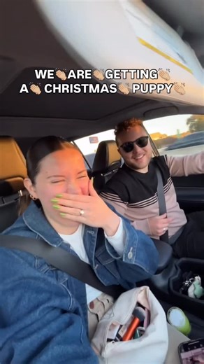 The Christmas Cocker Countdown on Instagram: "YOU‼️ MADE ‼️ MY‼️ CHRISTMAS‼️ MIRACLE‼️ HAPPEN‼️😭🎄🐾❤️✨ (still can’t reply to comments 😩 but lmk your biggest puppy hacks below 💬⬇️)"