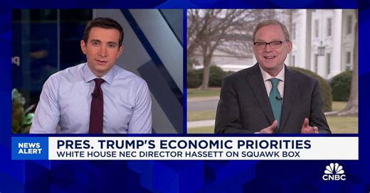 NEC Director Kevin Hassett: DOGE dividend checks 'makes a great deal of sense'