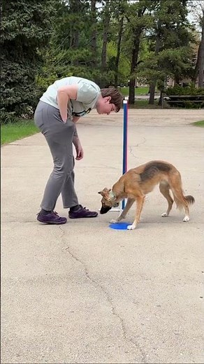 Beginning Weave Poles: Using 2x2s And Channel | Ravi