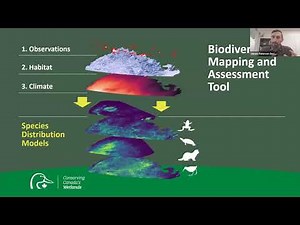 Supporting Conservation Decisions with a Biodiversity Mapping and Assessment Tool