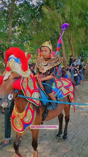 KUDA CUTA MUDA GROUP #shorts #subscribe #cutamudagroup