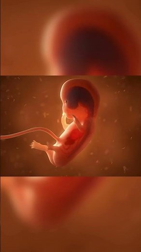 Embryo Development: The Miracle of Life #embryodevelopment #miracleoflife #humandevelopment
