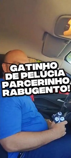 GATINHO DE PELUCIA COM EXPRESSAO DE BRAVO MUITO ENGRAÇADO E MACIO PERFEITO PARA DECORAR E PRESENTEAR