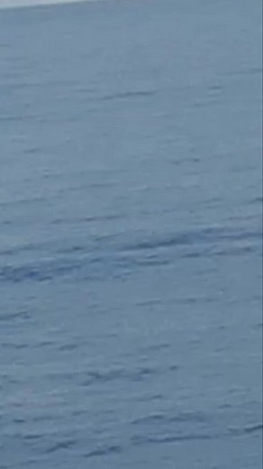 303K views · 6K reactions | Jay Inoc on Reels | Facebook