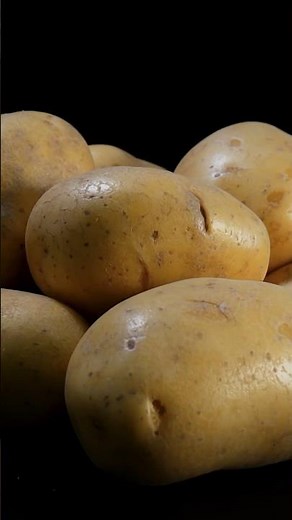 Unterschied: fest - oder mehlig kochende Kartoffeln?