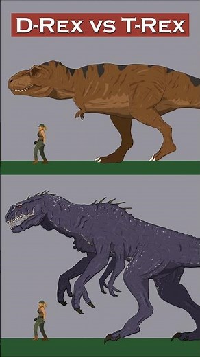 D-Rex vs T-Rex Size Comparison | Jurassic World Rebirth #drex #trex #jurassicworldrebirth