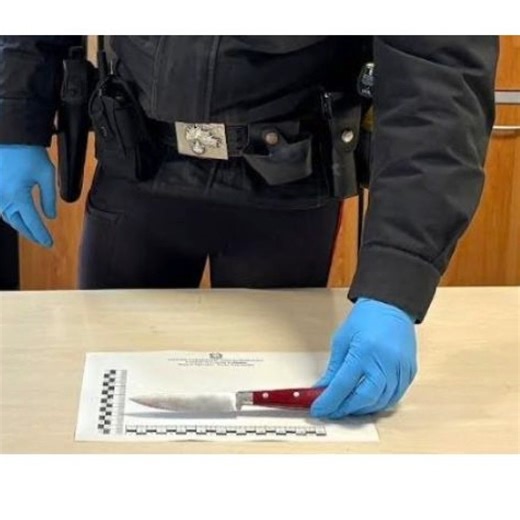 ÈTV RETE7 on Instagram: "Un ragazzo di 18 anni è stato arrestato dai carabinieri del nucleo radiomobile di Bologna, con l'accusa di avere ferito gravemente a coltellate il padre 55enne. I fatti sono avvenuti all'alba di mercoledì in un appartamento in zona Borgo Panigale. E' stato lo stesso 55enne, che ha ricevuto fendenti al costato e ad un polso, a chiedere aiuto chiamando il 118. I sanitari, arrivati nell'abitazione, hanno subito avvertito anche i carabinieri. L'uomo è stato portato all'osped