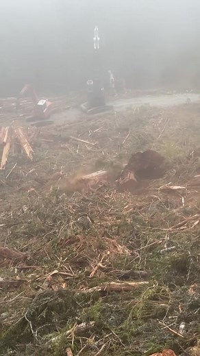 18K views · 91 reactions | This is why heli logging is superior to conventional logging from an stand point. #environmental #heavyequipment #logging #fyp | James Cox | Facebook