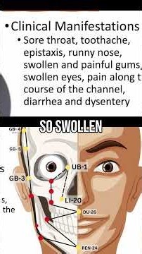 Large Intestine Channel Pathway & Manifestations Explained #tcm