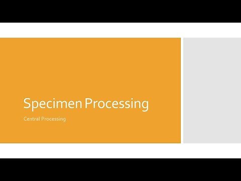 Specimen Processing: Central Processing