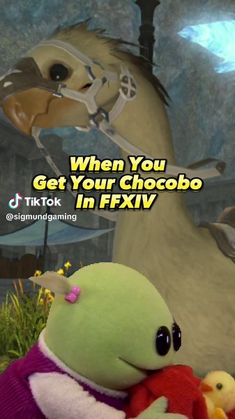 My Chocobo gets only the finest Gysahl Greens! My special boy! #ffxivonline #ffxiv #ff14community #ffxivcommunity #ffxivmemes #ff14meme #ffxivmeme #ff14memes #ffxivtiktok #ffxivtok #CapCut