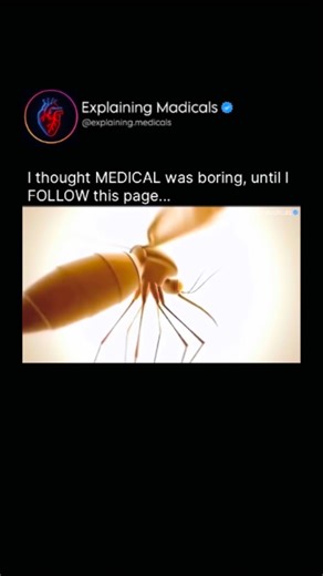 Medical | Health | Anatomy on Instagram: "Malaria Life Cycle Explained: Inside the Parasite’s Journey Malaria is caused by Plasmodium parasites and has a complex life cycle that alternates between humans and female Anopheles mosquitoes. The cycle begins when an infected mosquito bites a person, injecting sporozoites into the bloodstream. These parasites quickly travel to the liver, where they invade liver cells and multiply silently. After days to weeks, thousands of new parasites called merozoi