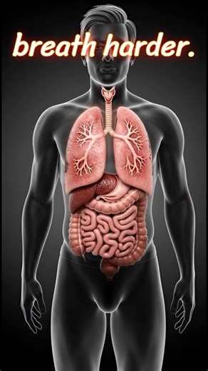 what happens to your body when you smoke #healthylifestyle #aishorts