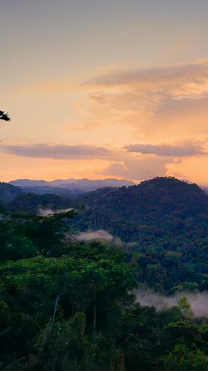 From lush jungles to vibrant coral reefs, Belize is home to exotic wildlife and stunning scenery. Book your holiday now and experience the wild beauty of Belize!  | Travel Belize | Facebook