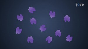 Video: Electrospray Ionization (ESI) Mass Spectrometry