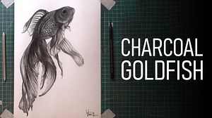 Charcoal drawing tutorial goldfish with soft blends and sharp edges