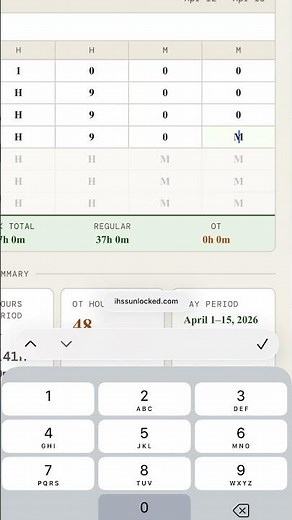 Watch me plan a real IHSS pay period in seconds