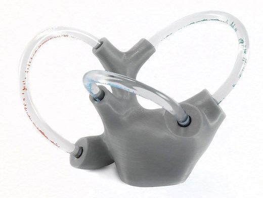 Fluid-Filled Vestibular Apparatus | Vestibular First