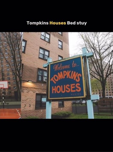 Brooklyn Projects #behindthebricks #brooklynprojects #nyc