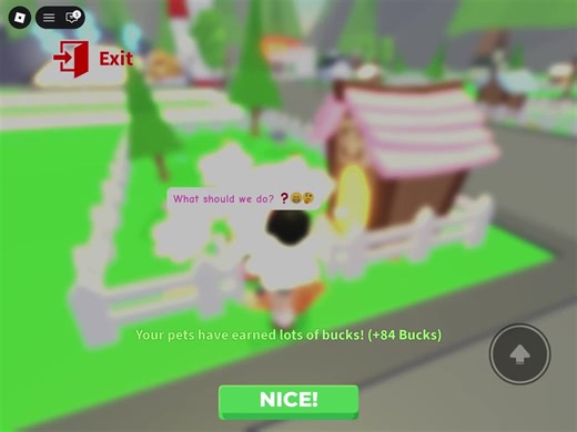 Choosing the Right Pet: Tips for Adopting