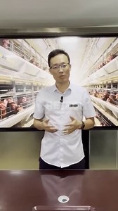 35 reactions · 34 shares | ⚡️⚡️ How do you clean out the chicken manure from your coop? 廊So if you also encounter this problem, come and discuss. https://www.retechfarming.com/newsdetail/3-advantages-of-belt-manure-cleaning-system WhatsApp: +86 185 6181 8850 Email： admin@retechfarming.com #RETECHchickencage #chickencage #chickenfarm #poultryfarm #modernfarmhouse #RETECHFARMING | Retech Farming Chicken Cage Poultry Equipment | Facebook