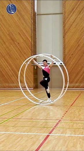 Yasuhiko Takahashi Gymwheel from Japan