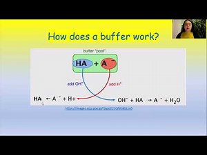 Lecture: "Buffer systems in the human body", Bukovinian State Medical University
