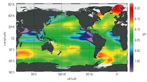 Gaining a long-term view of ocean acidification