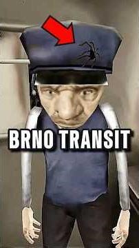 WHEN BRO ALSO HAS ARACHNOPHOBIA BUT SOMEONE HAS TO TAKE CARE OF IT 😭🙏 | Brno Transit