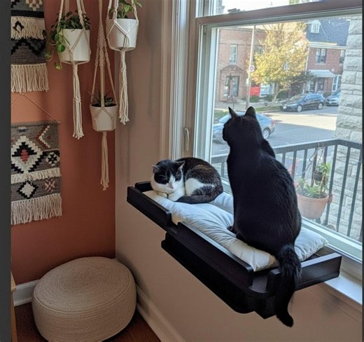 Cat Window Perch Wooden Cat Furniture Windowsill for Pets - Etsy