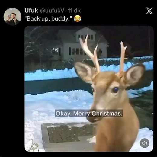 Back up, buddy 😂 #shorts