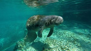 Voluntourism: Making a Difference on Your Florida Vacation